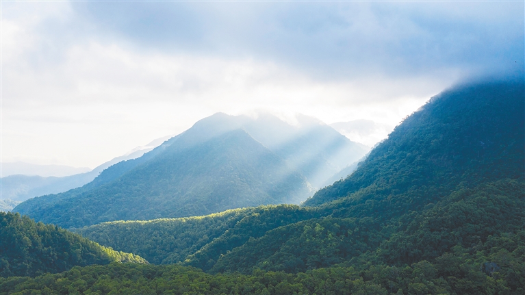 海南热带雨林国家公园加快核算生态系统生产总值