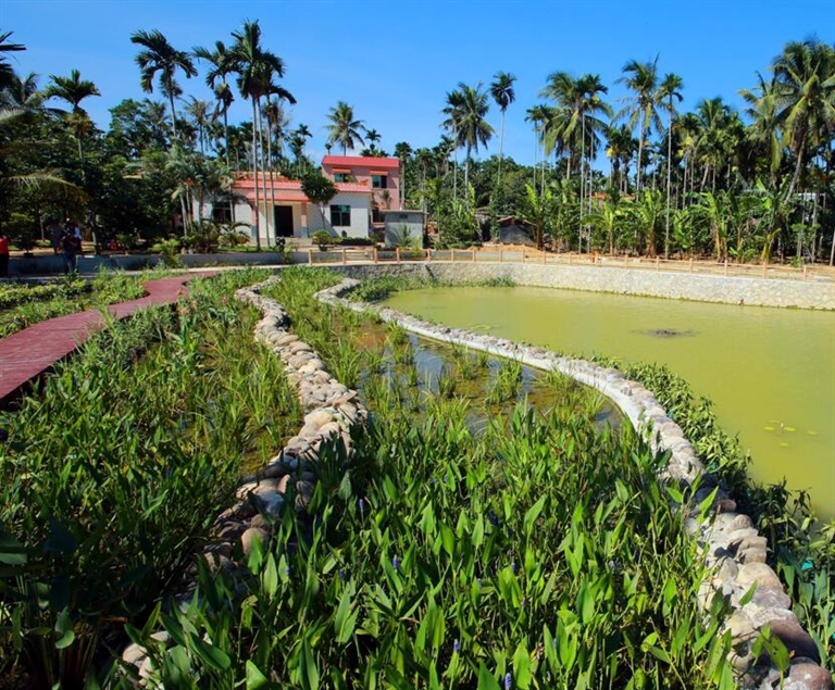 海南提出二〇二五年底农村生活污水治理率达九成以上