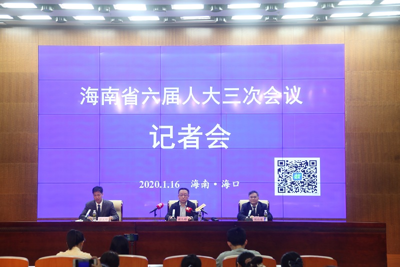 海南省六届人大三次会议第一场记者会现场图片