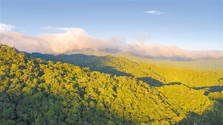 俯瞰海南热带雨林国家公园体制试点区吊罗山片区