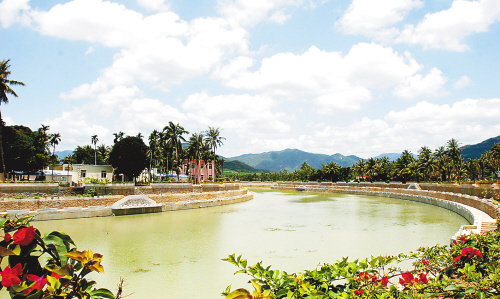 踏上总书记考察海南之路:槟榔村里感受新农村