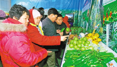百家市场联销海南瓜果菜活动在京举行 -- 海南