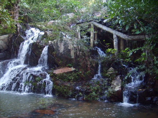 呀诺达热带雨林景区 -- 海南省人民政府