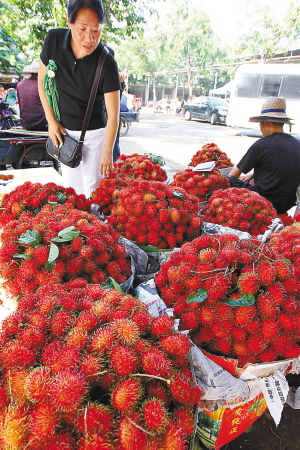 海南岛内热带水果大量上市 -- 海南省人民政府