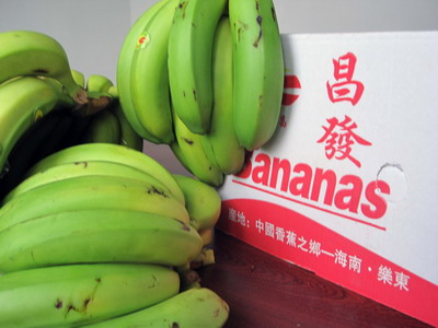 大公报:乐东香蕉成国家级品牌 -- 海南省人民政