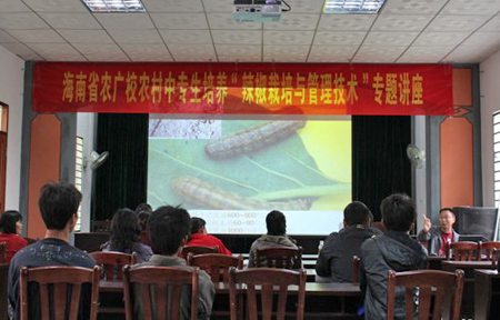 省农广校举办辣椒栽培与管理技术专题讲座 -- 