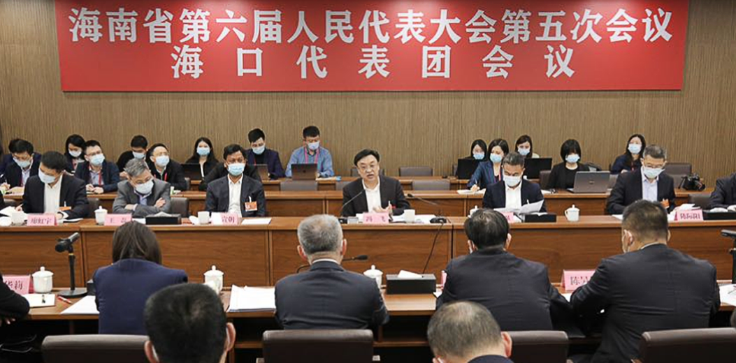 冯飞在参加海口、三亚、三沙代表团审议