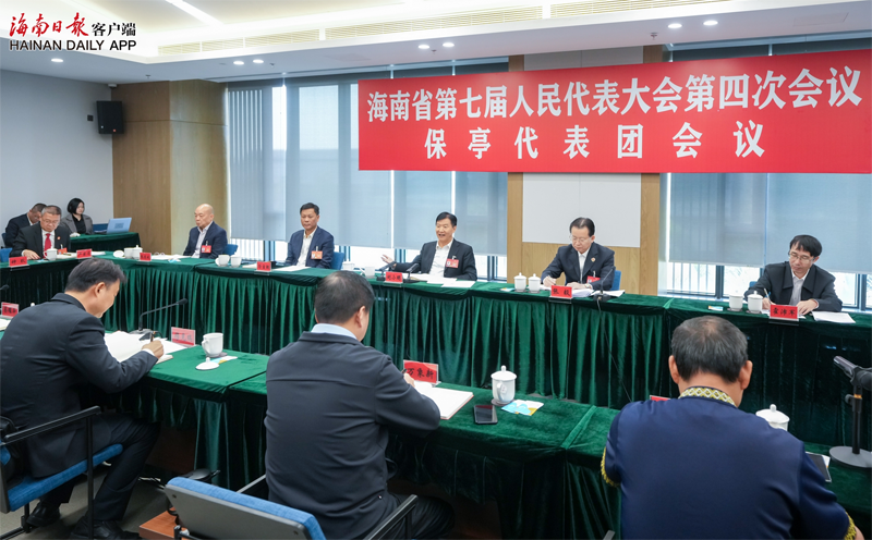 刘小明参加保亭、三沙、昌江、定安代表团审议