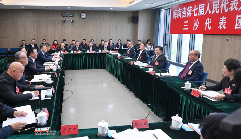 冯飞参加三沙代表团、解放军和武警部队代表团审议