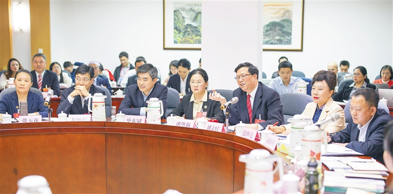 代表为自贸区建设建言献策