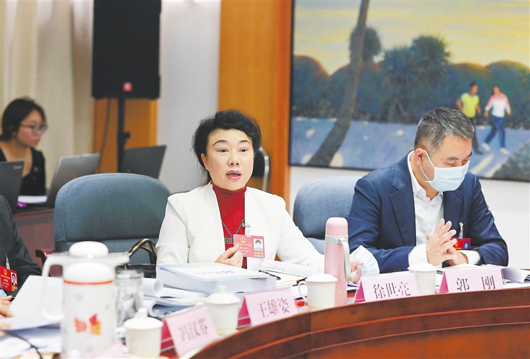 海口代表团徐世亮代表就幼儿托管问题发表意见