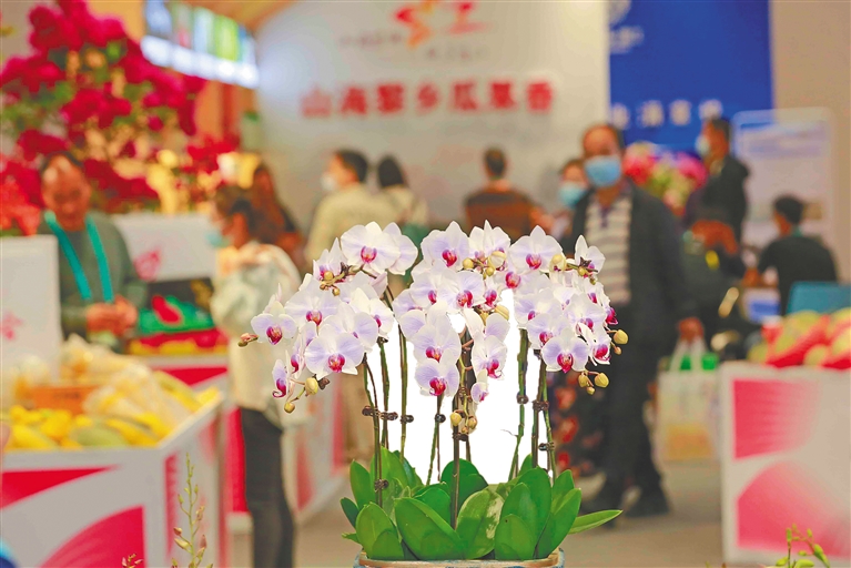 冬交会上昌江展馆参展游客、客商纷至沓来，特色农产品受热捧
