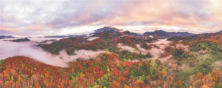 五指山优美的自然风光