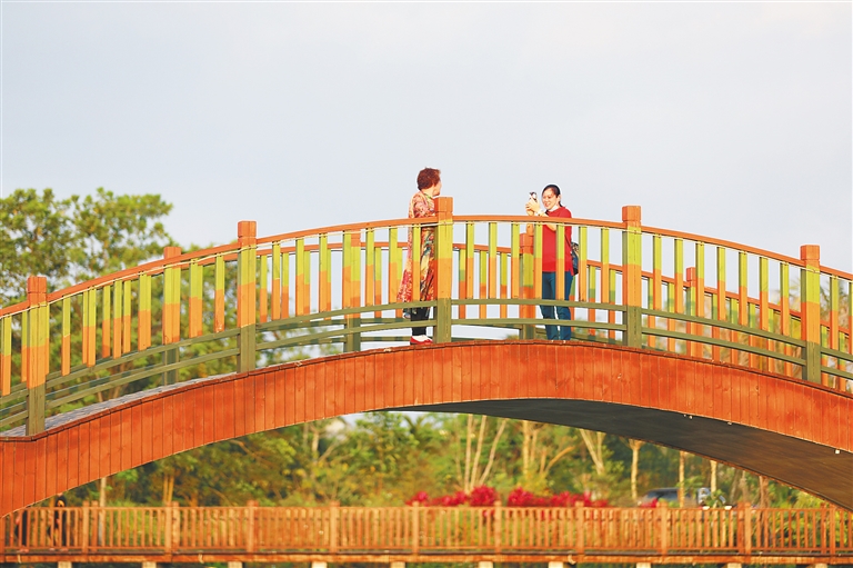 在屯昌县屯城镇文赞湿地公园，居民在桥上拍照留念