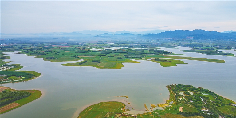 东方高坡岭水库：水清岸绿 河畅景美