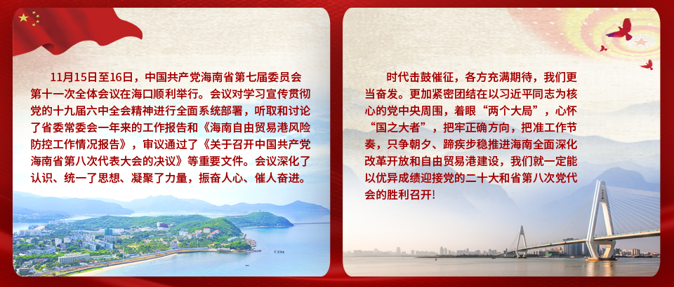 奋力推动自贸港建设行稳致远