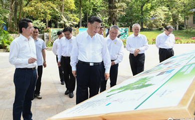 习近平在海南五指山市考察调研