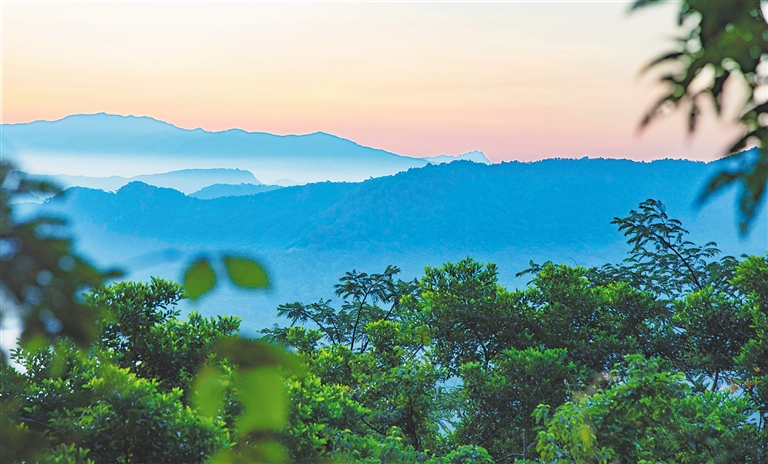 《海南热带雨林国家公园发展报告2019-2022》发布