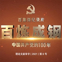 百炼成钢：<br>中国共产党的100年