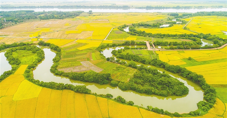 南渡江，一江清流润琼岛（南渡江水流长海南一片好风光）