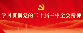 学习贯彻党的二十届三中全会精神