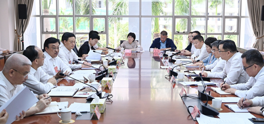 冯飞参加省委八届七次全会分组讨论