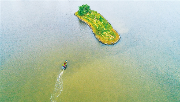 红城湖湖心岛图片
