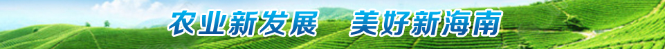 农业新发展