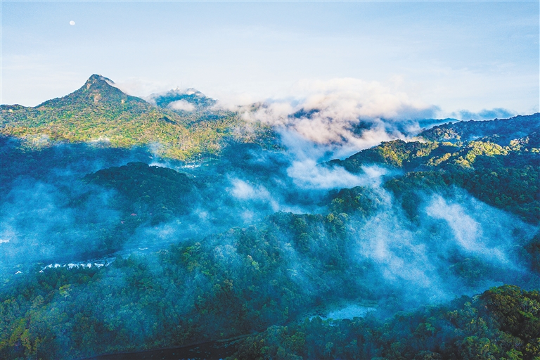 海南热带雨林国家公园尖峰岭片区风光